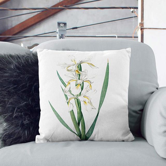 Banded Iris Flowers by Pierre-Joseph Redoute Cushion with Filling East Urban Home Size: 40 x 40 cm on Productcaster.