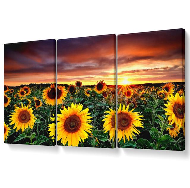 Magic Landscape Sunflower Field - 3 Piece Wrapped Canvas Graphic Art August Grove Size: 50.8cm H x 106.6cm W on Productcaster.