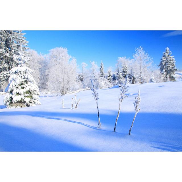 Bork Beautiful Winter Scene by Balwan - Wrapped Canvas Photograph Alpen Home Size: 51cm H x 76cm W x 3.8cm D on Productcaster.