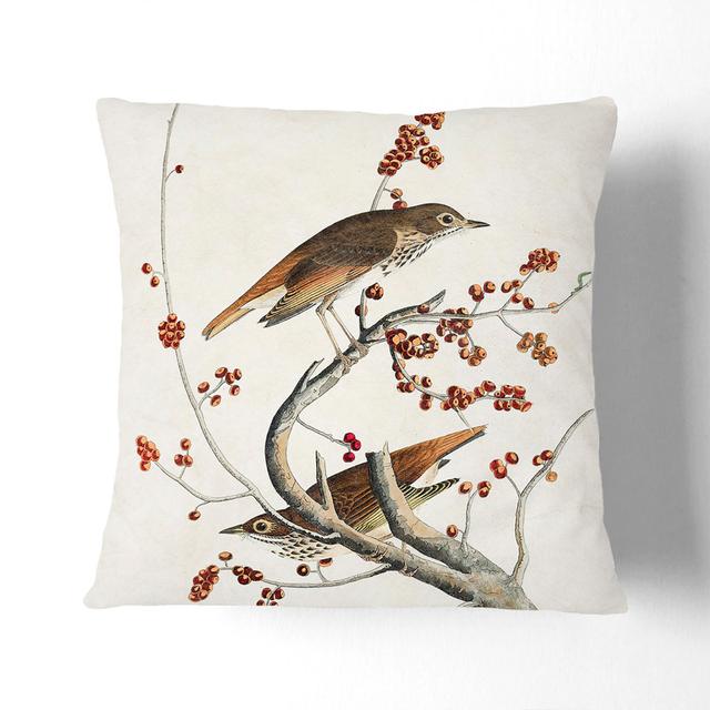 Hermit Thrush Birds by John James Audubon Cushion with Filling East Urban Home Size: 55cm H x 55cm W x 20cm D, Backing Colour: White on Productcaster.