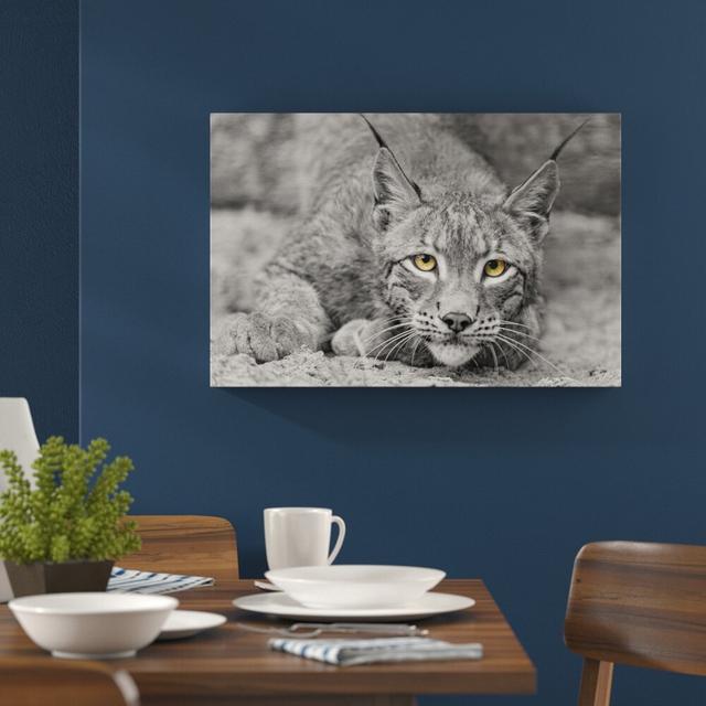 Leinwandbild ,,Schöner wachsamer Luchs" von Emmanuel Keller (Tombako the Jaguar), Fotodruck East Urban Home Größe: 70 cm H x 100 cm B on Productcaster.