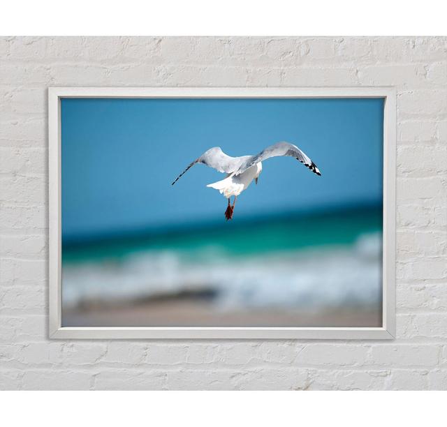 Seagull Over The Ocean Framed Print Highland Dunes Size: 100cm H x 141.4cm W x 3.3cm D on Productcaster.