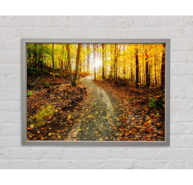 Path To The Sun 1 - Single Picture Frame Art Prints on Canvas Bright Star Size: 84.1cm H x 118.9cm W x 3.3cm D on Productcaster.