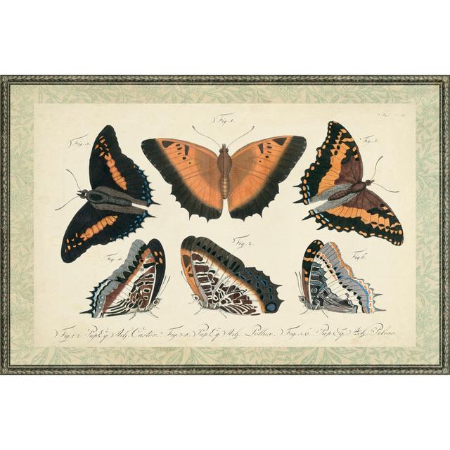 Bookplate Butterflies Trio I Lily Manor Size: 81cm H x 122cm W x 3.8cm D on Productcaster.