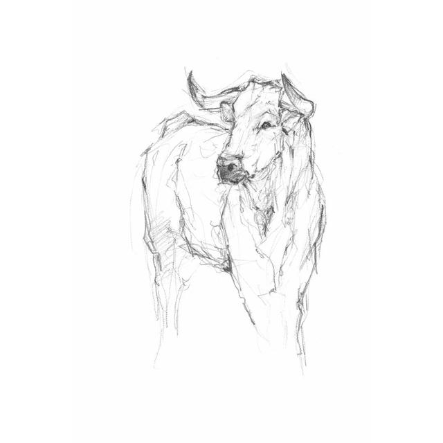 Bull Study I by Ethan Harper - Wrapped Canvas Print Brambly Cottage Size: 30cm H x 20cm W on Productcaster.