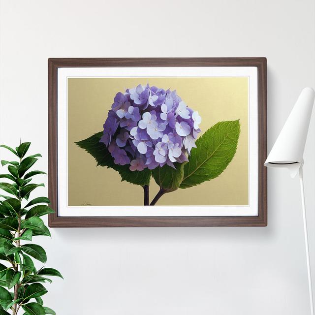 Hydrangea Flowers Vol.2 - Picture Frame Graphic Art ClassicLiving Size: 34cm H x 46cm W x 2cm D, Frame Colour: Walnut on Productcaster.