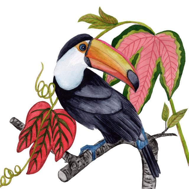 Toco Toucan I by Melissa Wang - Wrapped Canvas Painting Bay Isle Home Size: 122cm H x 122cm W on Productcaster.