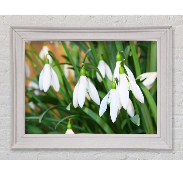 Single Picture Frame Art Prints Rosalind Wheeler Size: 29.7cm H x 42cm W on Productcaster.