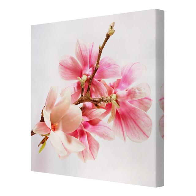 Magnolia Blossoms Graphic Art Print on Canvas East Urban Home Size: 60cm L x 60cm W on Productcaster.