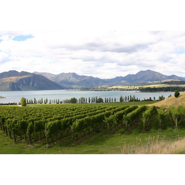 Lakeside Vineyard by Morgan1112 - Wrapped Canvas Print Alpen Home Size: 30 cm H x 46 cm W on Productcaster.