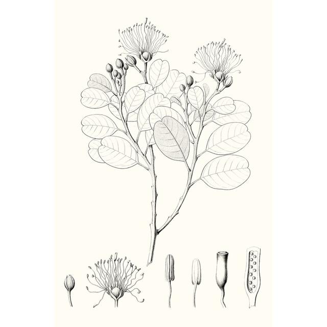 Illustrative Leaves I by Vision Studio - Wrapped Canvas Print August Grove Size: 30cm H x 20cm W on Productcaster.