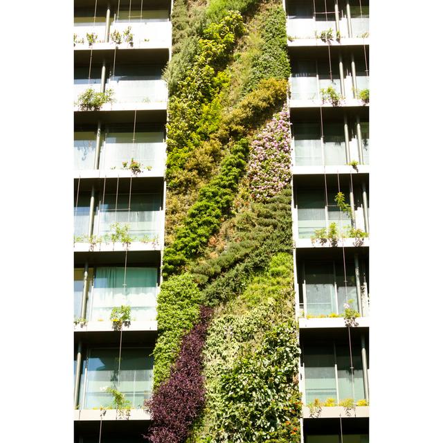 Vertical Garden On Building by Imamember - No Frame Art Prints on Canvas 17 Stories Size: 30cm H x 20cm W on Productcaster.