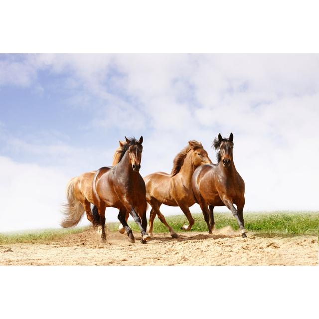 Horses Run by Mari_Art - Wrapped Canvas Print Gracie Oaks Size: 30Cm H x 46Cm W on Productcaster.