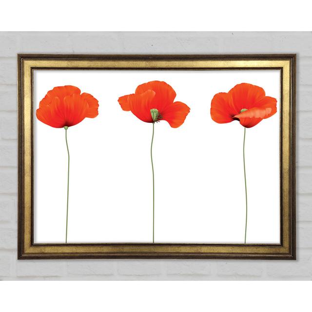 Three Poppies Standing - Single Picture Frame Art Prints Brayden Studio Size: 42.1cm H x 59.7cm W x 1.5cm D on Productcaster.