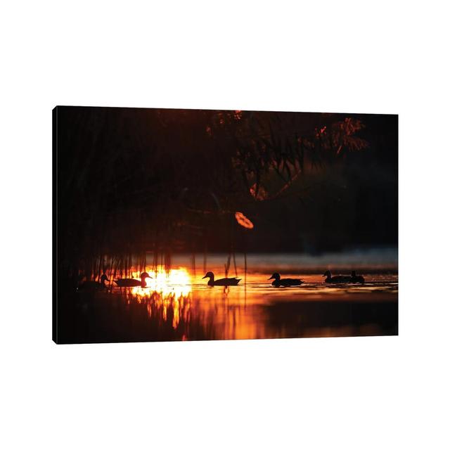 Ducks at Sunrise by Mateusz Piesiak - Wrapped Canvas Photograph 17 Stories Size: 20.32cm H x 30.48cm W x 1.91cm D on Productcaster.