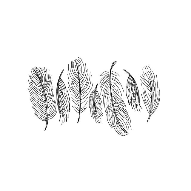 Feather Sketch - Wrapped Canvas Print Latitude Vive Size: 51cm H x 76cm W x 3.8cm D on Productcaster.