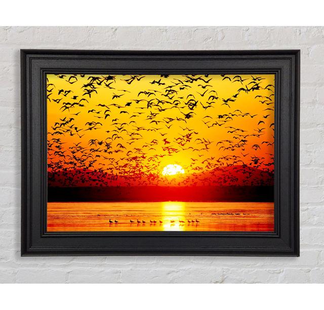 The Birds In The Golden Sunset Framed Print Highland Dunes Size: 59.7cm H x 84.1cm W x 8cm D on Productcaster.