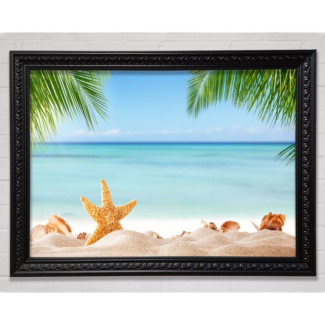 Gerahmtes Leinwandbild Starfish On The Beach Scene House of Hampton Format: Poster mit schwarzem Rahmen, Größe: 59,7 cm H x 84,1 cm B x 3 cm T on Productcaster.