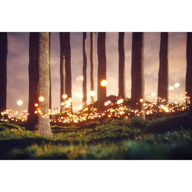 Mysterious Forest With Glowing Orbs by Gremlin - No Frame Print on Canvas Latitude Run Size: 51cm H x 76cm W on Productcaster.