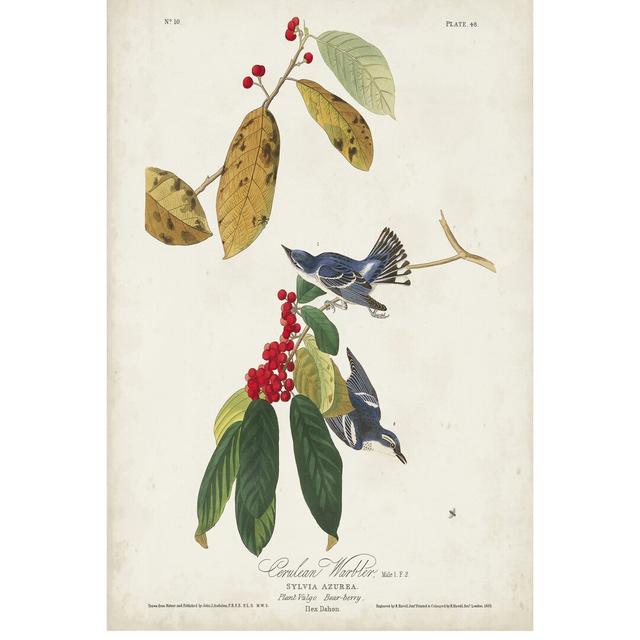 Pl 48 Cerulean Warbler by John Audubon - Wrapped Canvas Painting Print Marlow Home Co. Size: 76cm H x 51cm W on Productcaster.