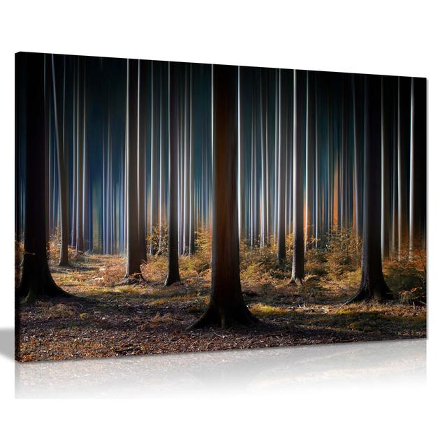 Illuminating Tree Trunksin A Dark Mysterious Forest - Wrapped Canvas Print Panther Print Size: 41cm H x 61cm W on Productcaster.