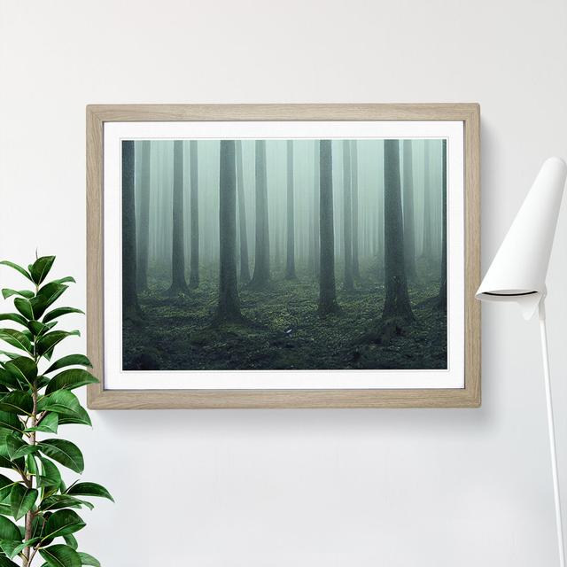 A Captivating Forest - Single Picture Frame Print Alpen Home Size: 34cm H x 46cm W x 2cm D, Frame Colour: Oak on Productcaster.