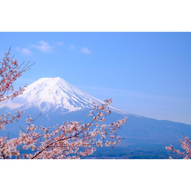 Gaughan Beautiful Cherry Blossoms by Itsaret - Wrapped Canvas Photograph House of Hampton Size: 61cm H x 91cm W x 3.8cm D on Productcaster.