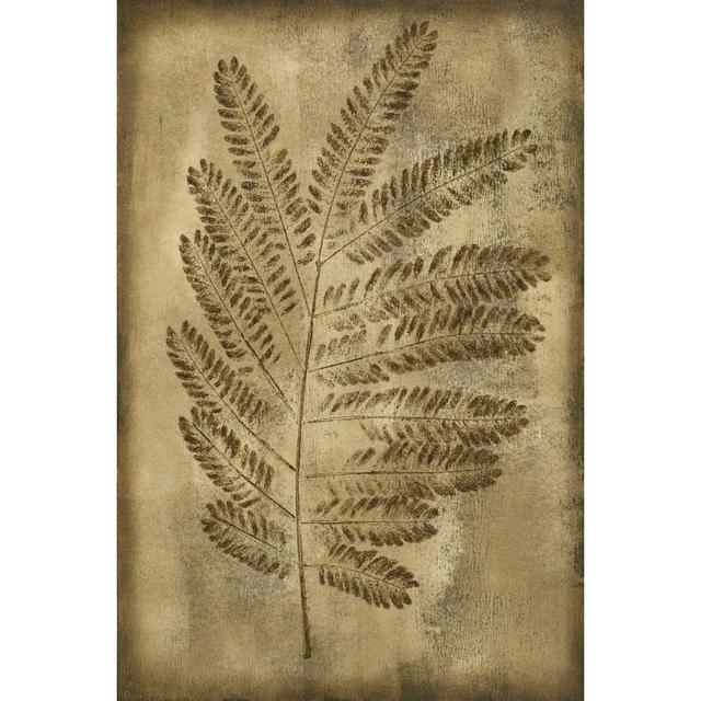 Sepia Drenched Fern II - Wrapped Canvas Art Print August Grove Size: 30cm H x 20cm W x 3.8cm D on Productcaster.