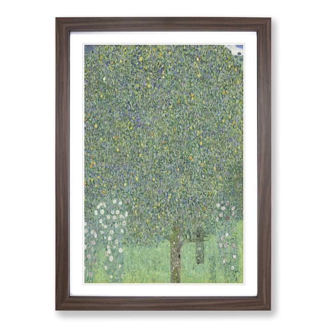 Rosebushes Under the Trees by Gustav Klimt - Picture Frame Painting East Urban Home Frame Option: Walnut Framed, Size: 36cm H x 27cm W x 2cm D on Productcaster.