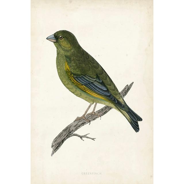 Morris Greenfinch - Wrapped Canvas Print Rosalind Wheeler Size: 76cm H x 51cm W on Productcaster.