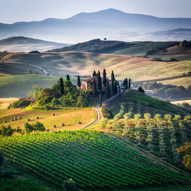 Farmhouse On A Beautiful Hill In Tuscany, Italy August Grove Size: 91cm H x 91cm W x 3.8cm D on Productcaster.