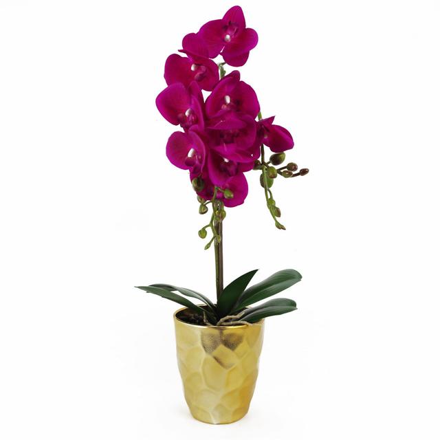 54cm Faux Plant in Pot Liner Leaf Flower Colour: Dark Pink on Productcaster.