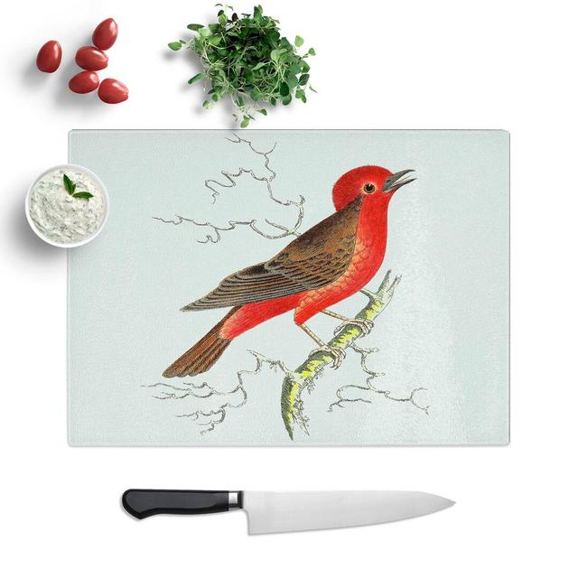 Tempered Glass Round-Crested Flycatcher Fish by George Shaw Chopping Board East Urban Home Size: 28.5 cm W x 20 cm L on Productcaster.