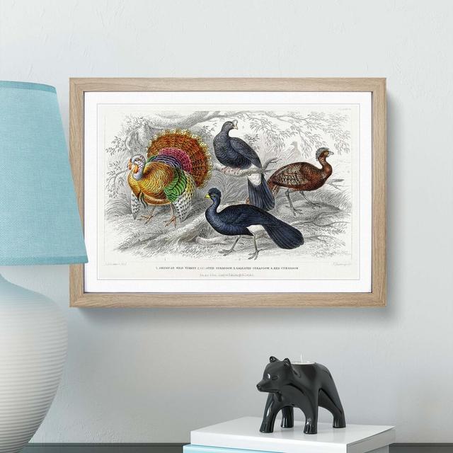 Wild Turkey & Curassow Birds by Oliver Goldsmith - Picture Frame Painting Print East Urban Home Frame Option: Oak Framed, Size: 27cm H x 36cm W x 2cm on Productcaster.