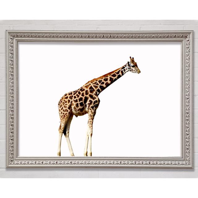 Single Picture Frame Art Prints Ebern Designs Size: 21cm H x 29.7cm W on Productcaster.