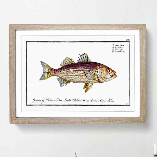 Lineated Umber Fish by M.E. Bloch - Picture Frame Painting Print East Urban Home Frame Option: Oak Framed, Size: 48cm H x 65cm W x 2cm D on Productcaster.