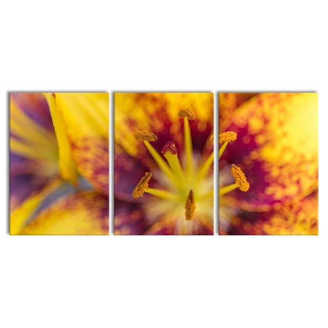 Beautiful Lily 3-Piece Photograph Set on Canvas East Urban Home Size: 100 cm H x 210 cm W on Productcaster.