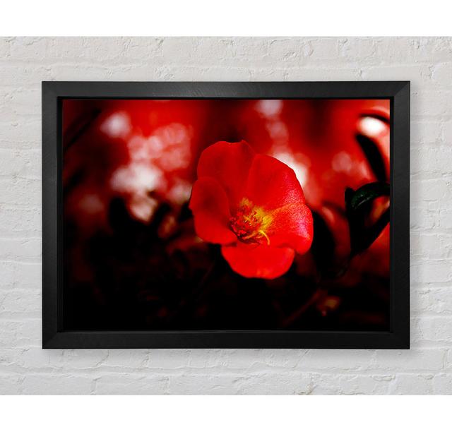 Cherry Red - Single Picture Frame Art Prints Bright Star Size: 100cm H x 141.4cm W x 3.4cm D on Productcaster.