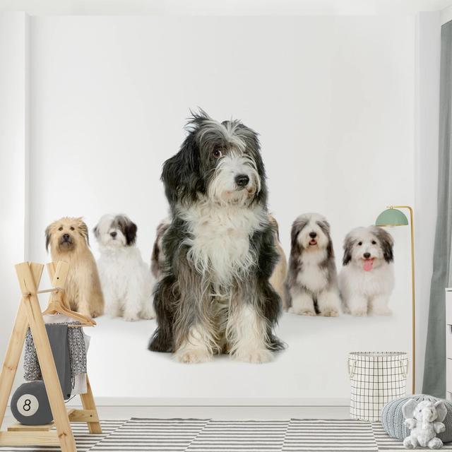 Shaggy Dogs 1.92m x 1.92m Textured Matte Peel & Stick Wall Mural East Urban Home Size: 192cm H x 192cm W on Productcaster.