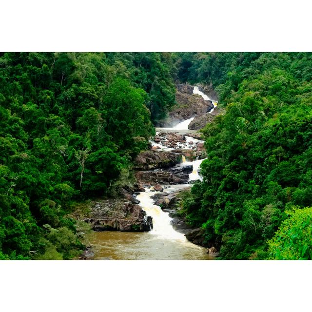 Evergreen Rainforest, Rocks And Water Fall by Hajakely - Wrapped Canvas Print Union Rustic Size: 30cm H x 46cm W x 3.8cm D on Productcaster.