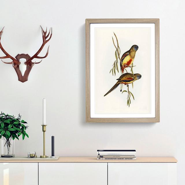 Crimson-Bellied Parakeets by Elizabeth Gould - Picture Frame Painting Print East Urban Home Frame Option: Oak Framed, Size: 65cm H x 48cm W x 2cm D on Productcaster.