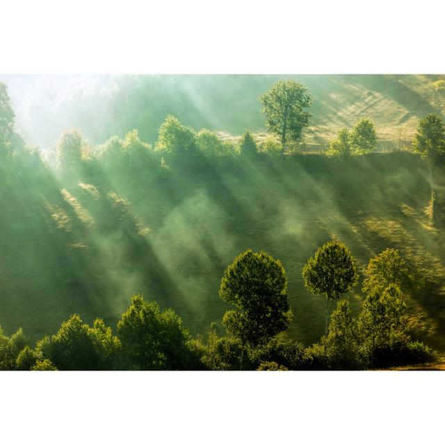 Morning At Black Sea - Print Alpen Home Size: 81cm H x 122cm W x 3.8cm D on Productcaster.