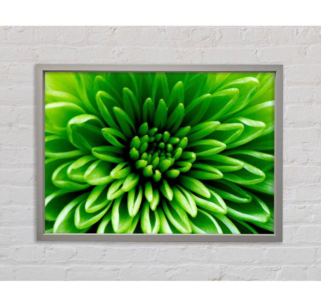 Green Centre - Single Picture Frame Art Prints on Canvas Ebern Designs Size: 84.1cm H x 118.9cm W x 3.3cm D on Productcaster.