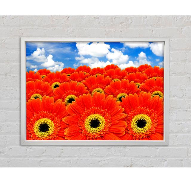 Orange Gerbera Heaven Framed Print Ebern Designs Size: 84.1cm H x 118.9cm W x 3.3cm D on Productcaster.