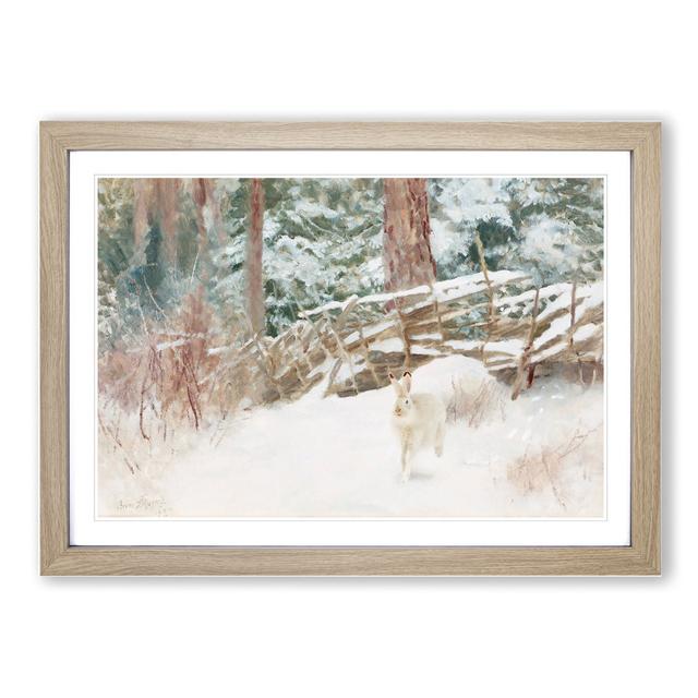 White Hare Vol.7 by Bruno Liljefors - Picture Frame Painting East Urban Home Size: 48cm H x 65cm W x 2cm D, Frame Option: Oak on Productcaster.