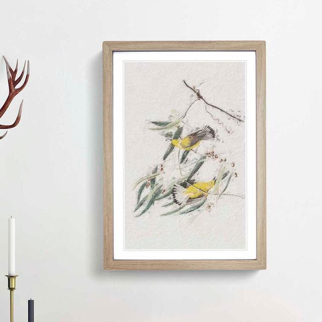 Prothonotary Warbler Birds by John Audubon - Picture Frame Painting Print East Urban Home Size: 36cm H x 27cm W x 2cm D, Frame Option: Oak Framed on Productcaster.