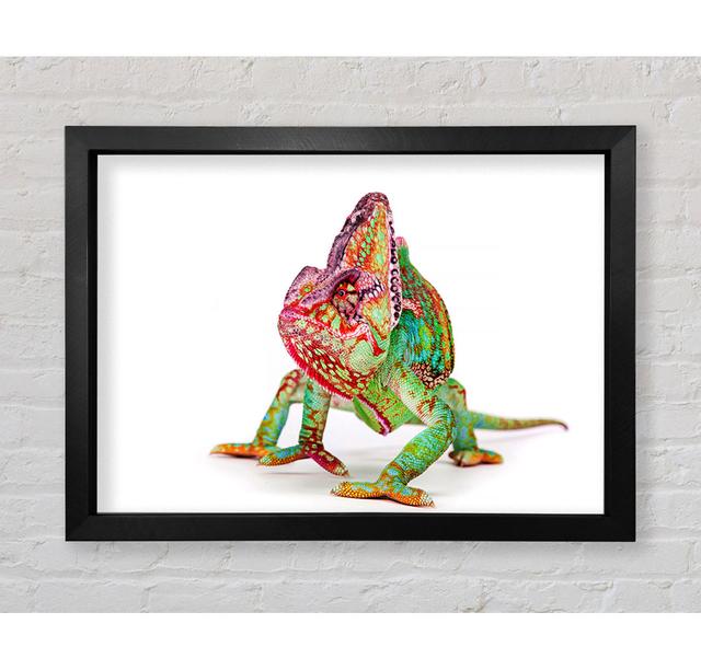 Chameleon Walk - Single Picture Frame Art Prints Bright Star Size: 42cm H x 59.7cm W x 3.4cm D on Productcaster.