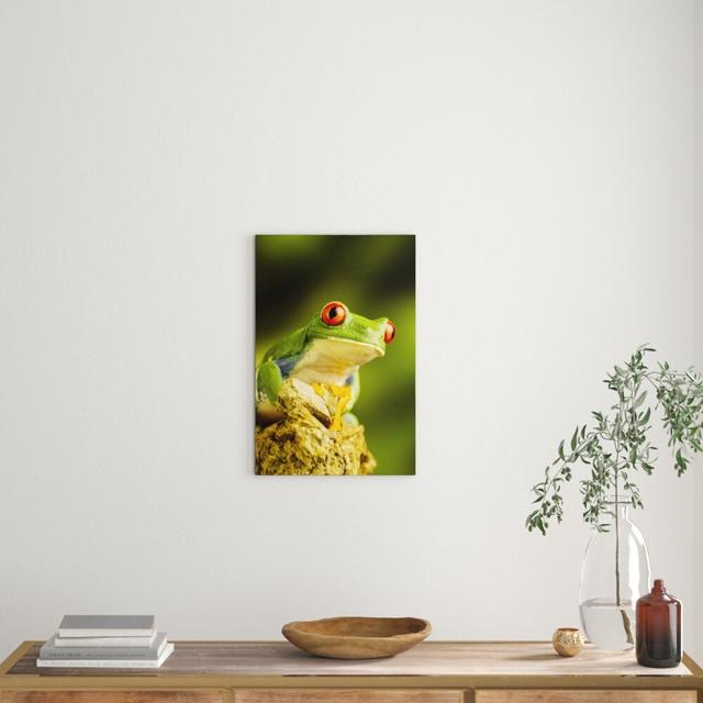 Leinwandbild ,,Grüner Rotaugen Frosch", Fotodruck East Urban Home Größe: 60 cm H x 40 cm B on Productcaster.