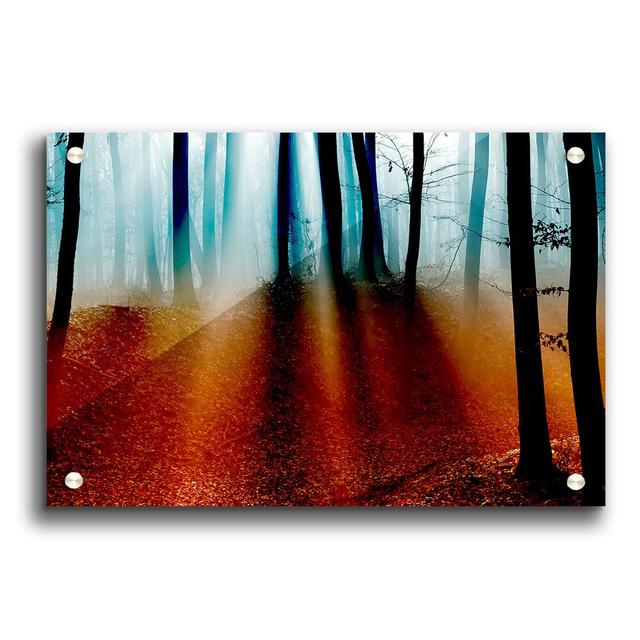 Autumn 5 Forest - Unframed Graphic Art Print on Acrylic East Urban Home Size: 42cm H x 59.4cm W on Productcaster.