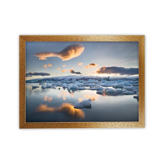 Lagoon Duck by Karsten Wrobel - Photograph Print on Canvas House of Hampton Format: Brown Framed, Size: 34cm H x 46cm W x 3cm D on Productcaster.